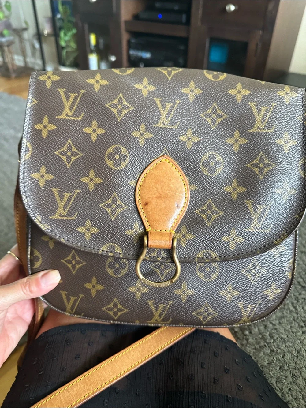 Louis Vuitton iconic louis